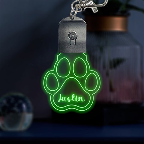 Personalized Dog Cat Pet Footprint Name LED Key Chain from ArtsNow.com Front