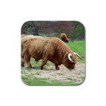 Eesign0016 Rubber Coaster Sets