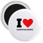 I love cantaloupe  3  Magnets