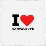 I love cantaloupe  Canvas 12  x 12 