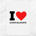 I love cantaloupe  Canvas 12  x 18 