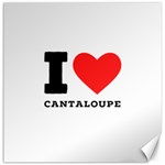 I love cantaloupe  Canvas 16  x 16 