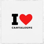 I love cantaloupe  Canvas 20  x 20 