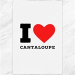 I love cantaloupe  Canvas 20  x 30 