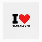 I love cantaloupe  Medium Glasses Cloth