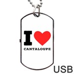 I love cantaloupe  Dog Tag USB Flash (One Side)