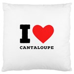 I love cantaloupe  Standard Premium Plush Fleece Cushion Case (Two Sides)