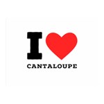 I love cantaloupe  Two Sides Premium Plush Fleece Blanket (Mini)