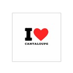 I love cantaloupe  Satin Bandana Scarf 22  x 22 