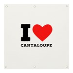 I love cantaloupe  Banner and Sign 3  x 3 