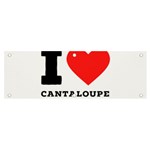 I love cantaloupe  Banner and Sign 6  x 2 