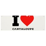 I love cantaloupe  Banner and Sign 9  x 3 