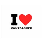 I love cantaloupe  Premium Plush Fleece Blanket (Medium)