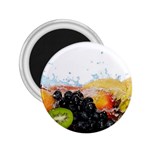 Variety Of Fruit Water Berry Food Splash Kiwi Grape 2.25  Magnets