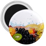 Variety Of Fruit Water Berry Food Splash Kiwi Grape 3  Magnets