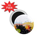 Variety Of Fruit Water Berry Food Splash Kiwi Grape 1.75  Magnets (10 pack) 