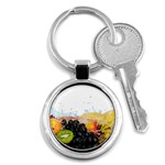 Variety Of Fruit Water Berry Food Splash Kiwi Grape Key Chain (Round)