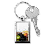 Variety Of Fruit Water Berry Food Splash Kiwi Grape Key Chain (Rectangle)