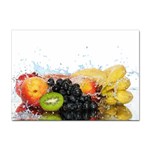 Variety Of Fruit Water Berry Food Splash Kiwi Grape Sticker A4 (10 pack)