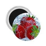 Red Strawberries Water Squirt Strawberry Fresh Splash Drops 2.25  Magnets