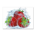 Red Strawberries Water Squirt Strawberry Fresh Splash Drops Sticker A4 (10 pack)