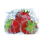 Red Strawberries Water Squirt Strawberry Fresh Splash Drops Premium Plush Fleece Blanket (Mini)