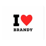 I love brandy Premium Plush Fleece Blanket (Large)