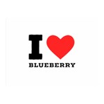 I love blueberry  Two Sides Premium Plush Fleece Blanket (Mini)