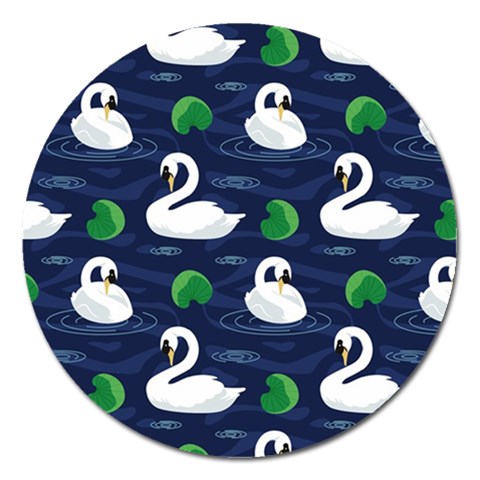 Swan Front