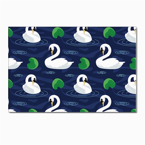 Swan Front