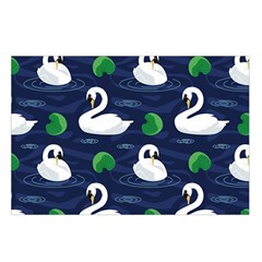 Swan Loop
