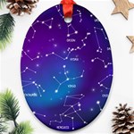 Realistic Night Sky With Constellations Oval Ornament (Two Sides)
