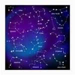 Realistic Night Sky With Constellations Medium Glasses Cloth