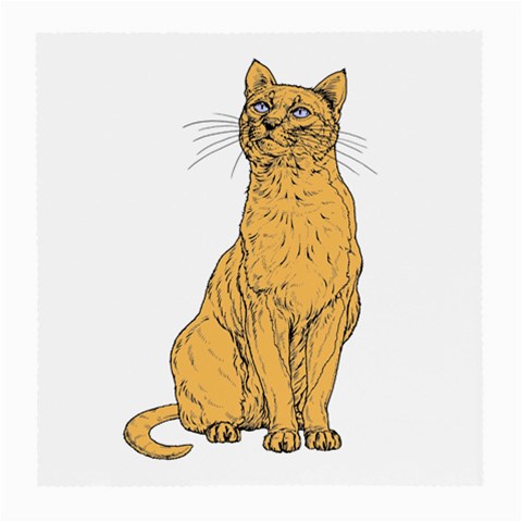 Sitting cat 2 Glasses Cloth (Medium) from ArtsNow.com Front