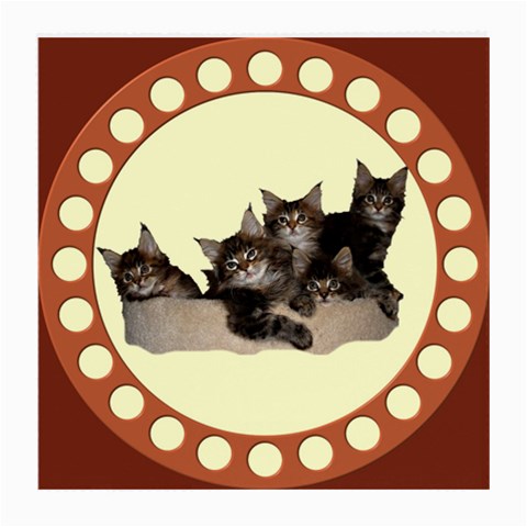 Maine coone kittens Glasses Cloth (Medium) from ArtsNow.com Front