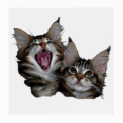 Yawning kitten Glasses Cloth (Medium) from ArtsNow.com Front