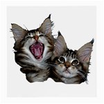 Yawning kitten Glasses Cloth (Medium)