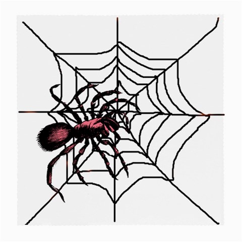 Spider in web Glasses Cloth (Medium) from ArtsNow.com Front