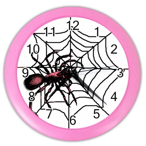 Spider in web Color Wall Clock from ArtsNow.com Front
