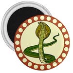 Cobra 3  Magnet