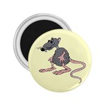 Rat 2.25  Magnet