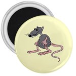 Rat 3  Magnet
