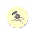Rat Magnet 3  (Round)