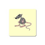 Rat Magnet (Square)