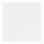 Rat Glasses Cloth (Medium)