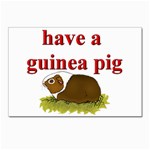Guinea pig Postcard 4  x 6 