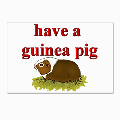 Guinea pig Postcards 5  x 7  (Pkg of 10) from ArtsNow.com Front