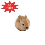 Cute bunny 1  Mini Magnet (10 pack) 