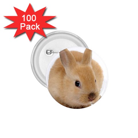 Cute bunny 1.75  Button (100 pack)  from ArtsNow.com Front