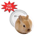 Cute bunny 1.75  Button (100 pack) 